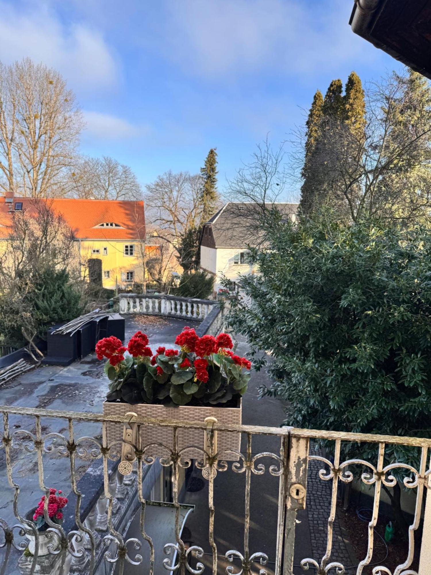 W.i.p. Welt Im Park Homestay