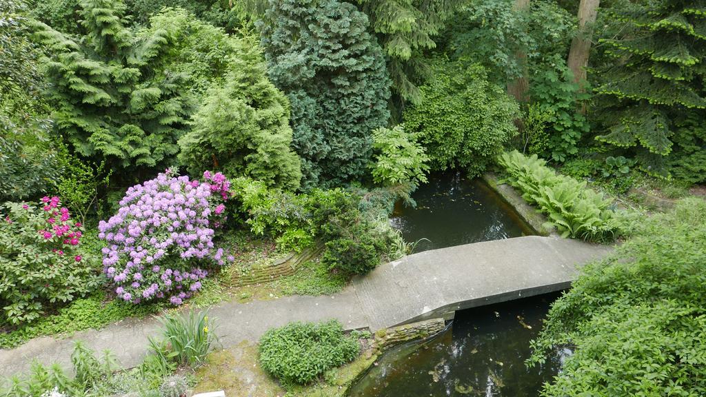 Homestay W.i.p. Welt Im Park Dresden